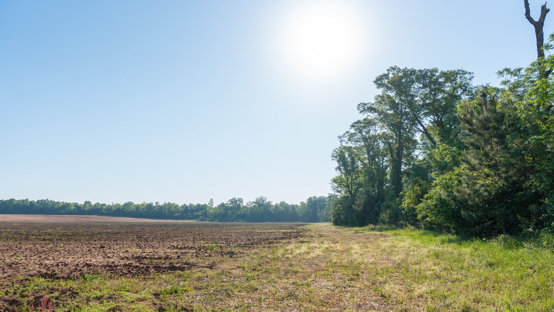 Image for Land Auction - 148+/- Total Acres - Irrigated Row Crop Farm