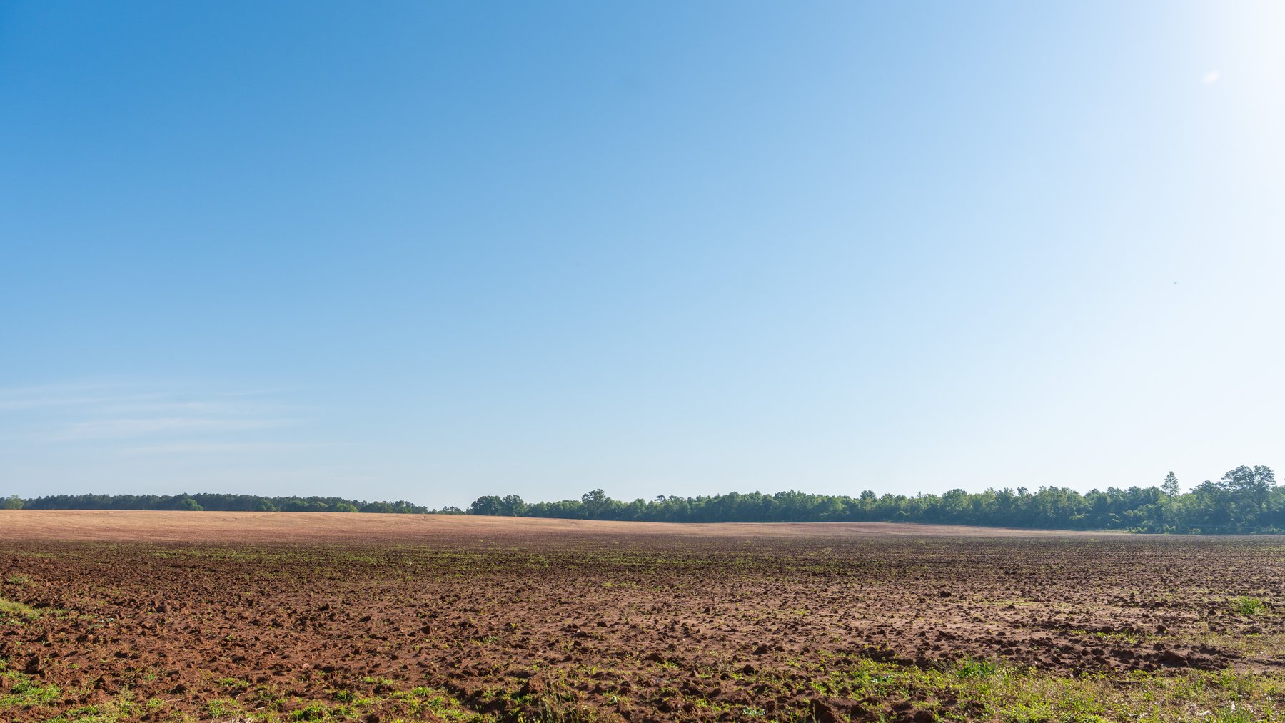 Image for Land Auction - 148+/- Total Acres - Irrigated Row Crop Farm