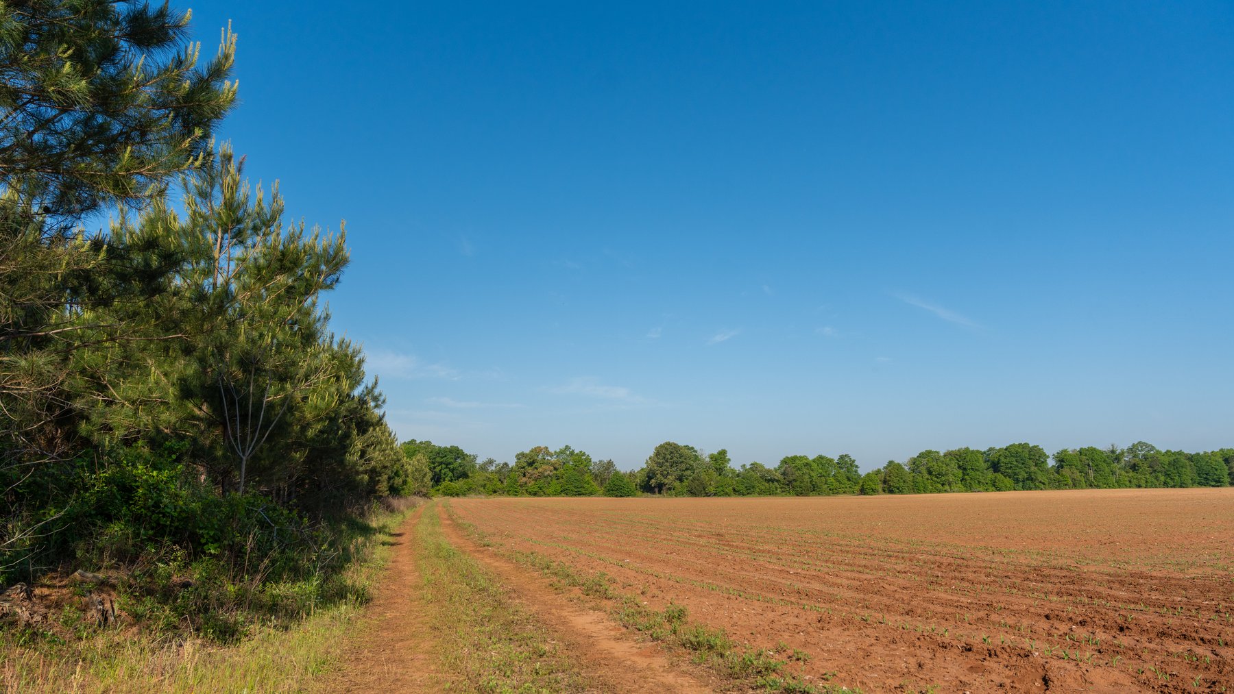 Image for Land Auction - 148+/- Total Acres - Irrigated Row Crop Farm