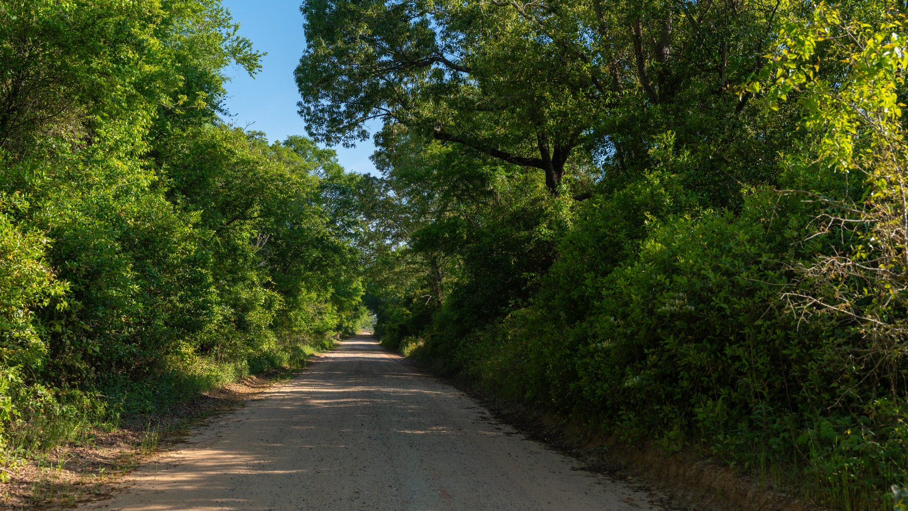 Image for Land Auction - 148+/- Total Acres - Irrigated Row Crop Farm