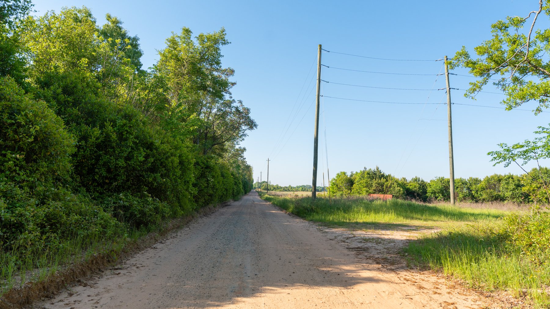 Image for Land Auction - 148+/- Total Acres - Irrigated Row Crop Farm