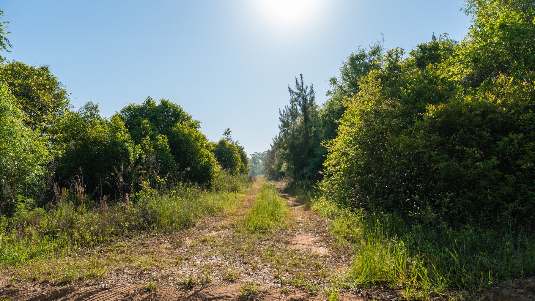 Image for Land Auction - 148+/- Total Acres - Irrigated Row Crop Farm