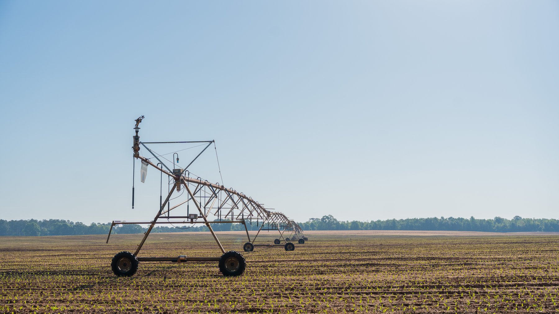 Image for Land Auction - 148+/- Total Acres - Irrigated Row Crop Farm