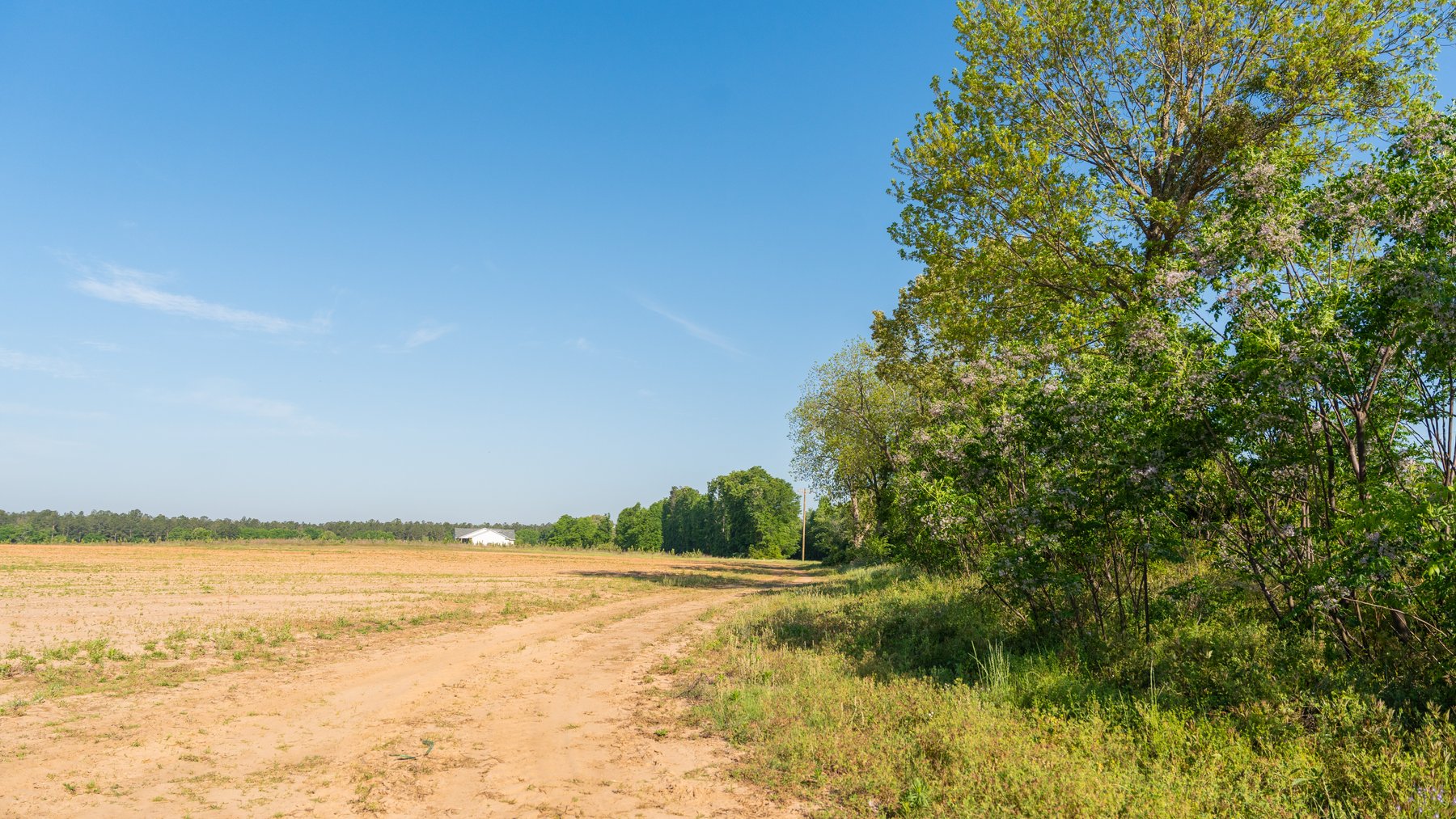 Image for Land Auction - 148+/- Total Acres - Irrigated Row Crop Farm