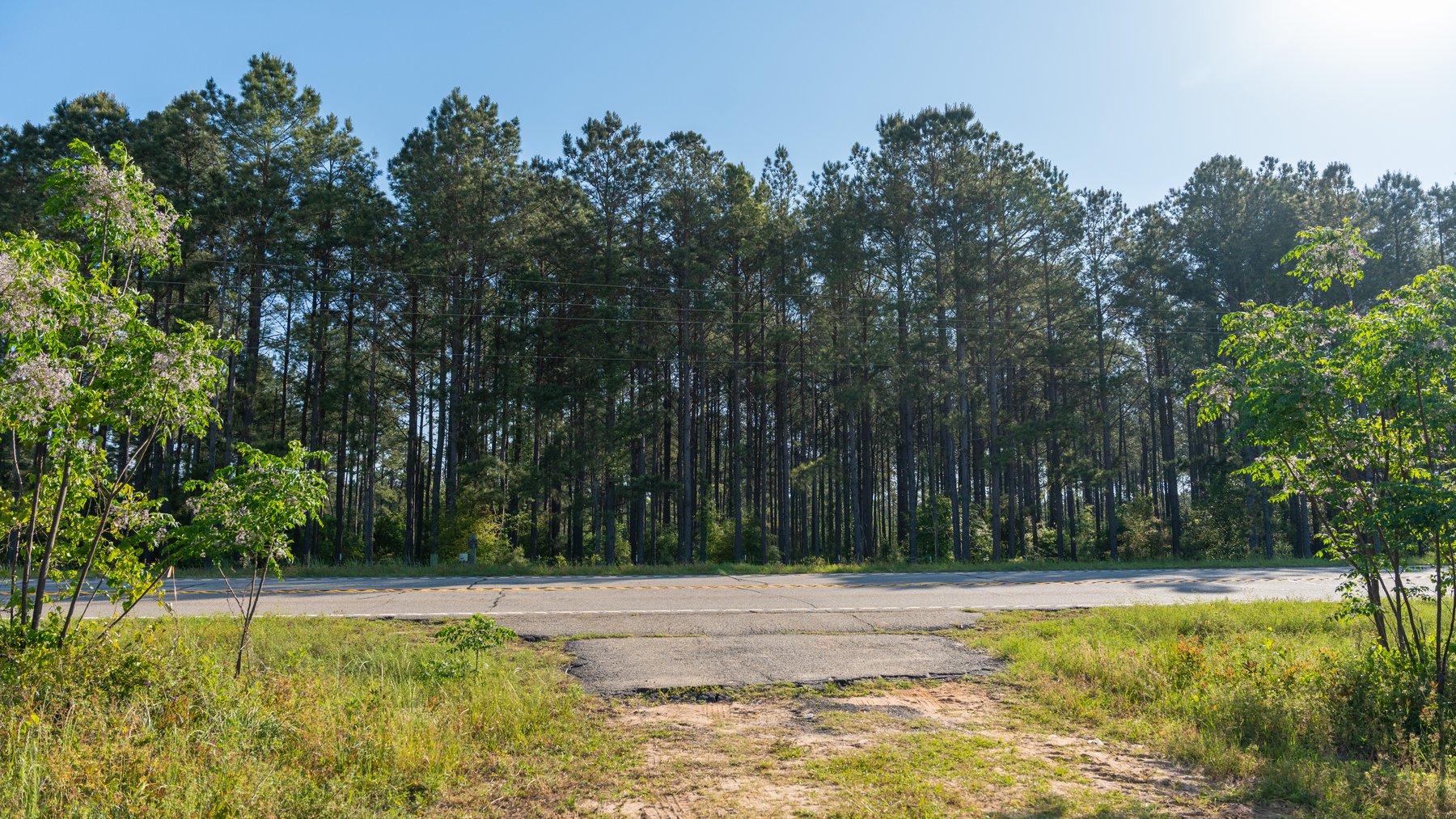 Image for Land Auction - 148+/- Total Acres - Irrigated Row Crop Farm
