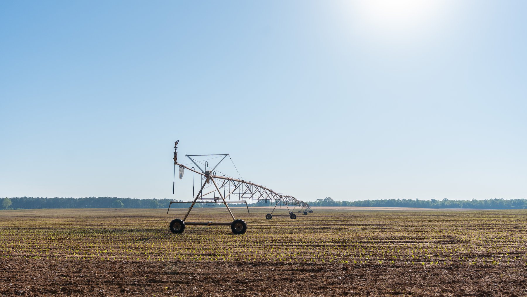 Image for Land Auction - 148+/- Total Acres - Irrigated Row Crop Farm