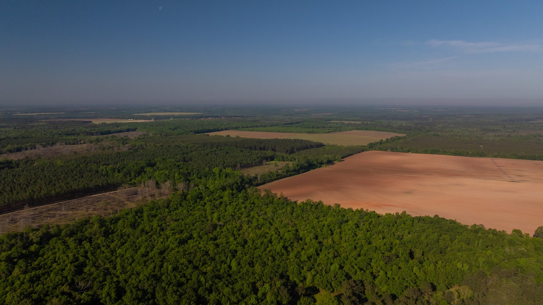 Image for Land Auction - 148+/- Total Acres - Irrigated Row Crop Farm