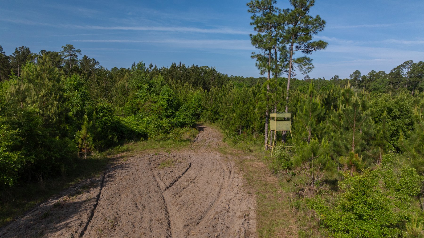 Image for 195+/- Total Acres - Premium Recreational Tract - Trophy Whitetails, Stocked Ponds & Plantation Pines