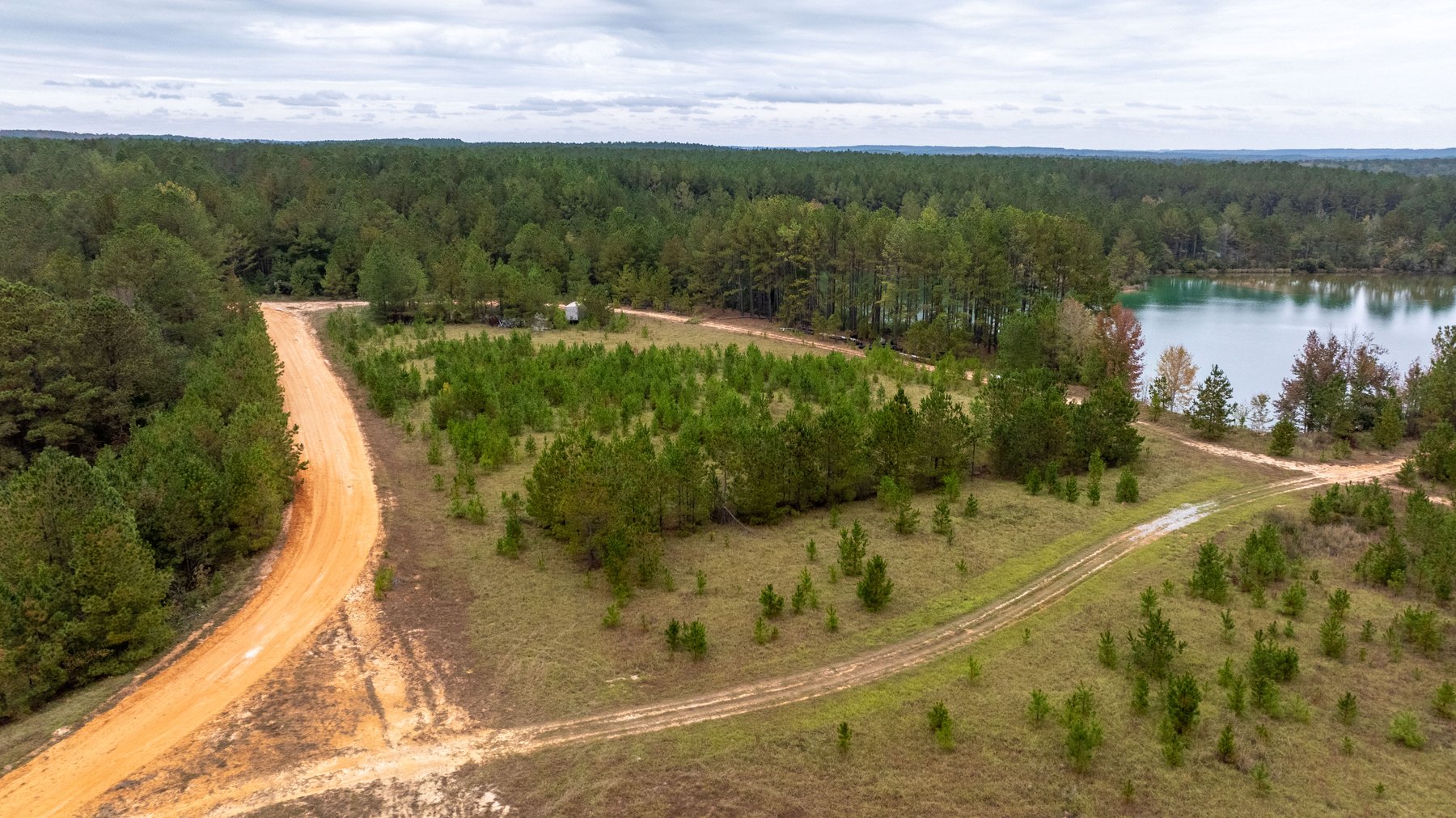 Image for W.F. Jackson Construction Company - Heavy Duty Industrial Facility - 43.24+/- Total Acres