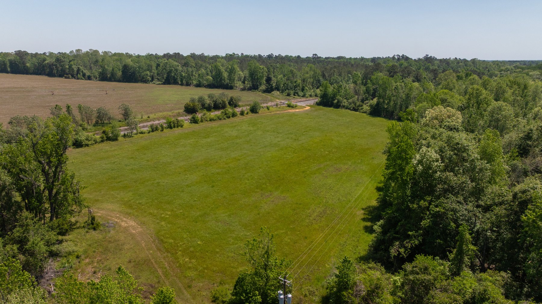 Image for 165+/- Acres - Exceptional Hunting Tract - Timber Investment Opportunity - Williamson Swamp Creek Frontage