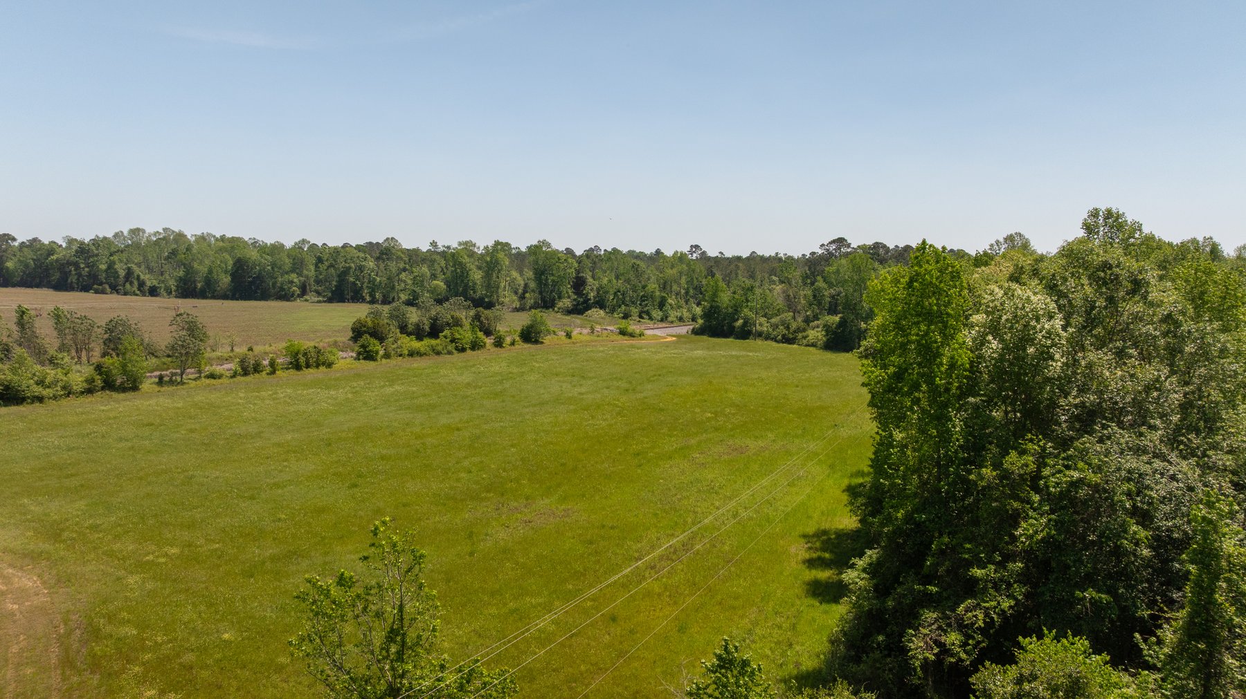 Image for 165+/- Acres - Exceptional Hunting Tract - Timber Investment Opportunity - Williamson Swamp Creek Frontage