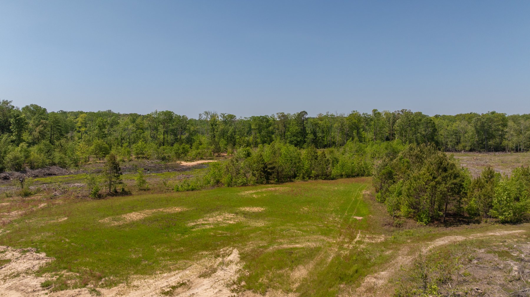 Image for 165+/- Acres - Exceptional Hunting Tract - Timber Investment Opportunity - Williamson Swamp Creek Frontage