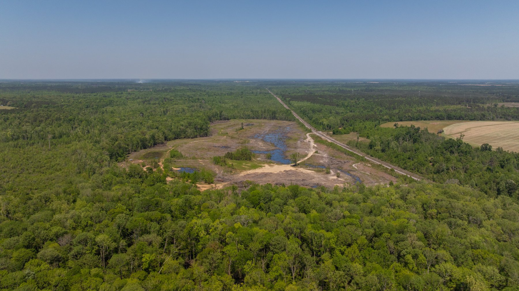 Image for 165+/- Acres - Exceptional Hunting Tract - Timber Investment Opportunity - Williamson Swamp Creek Frontage