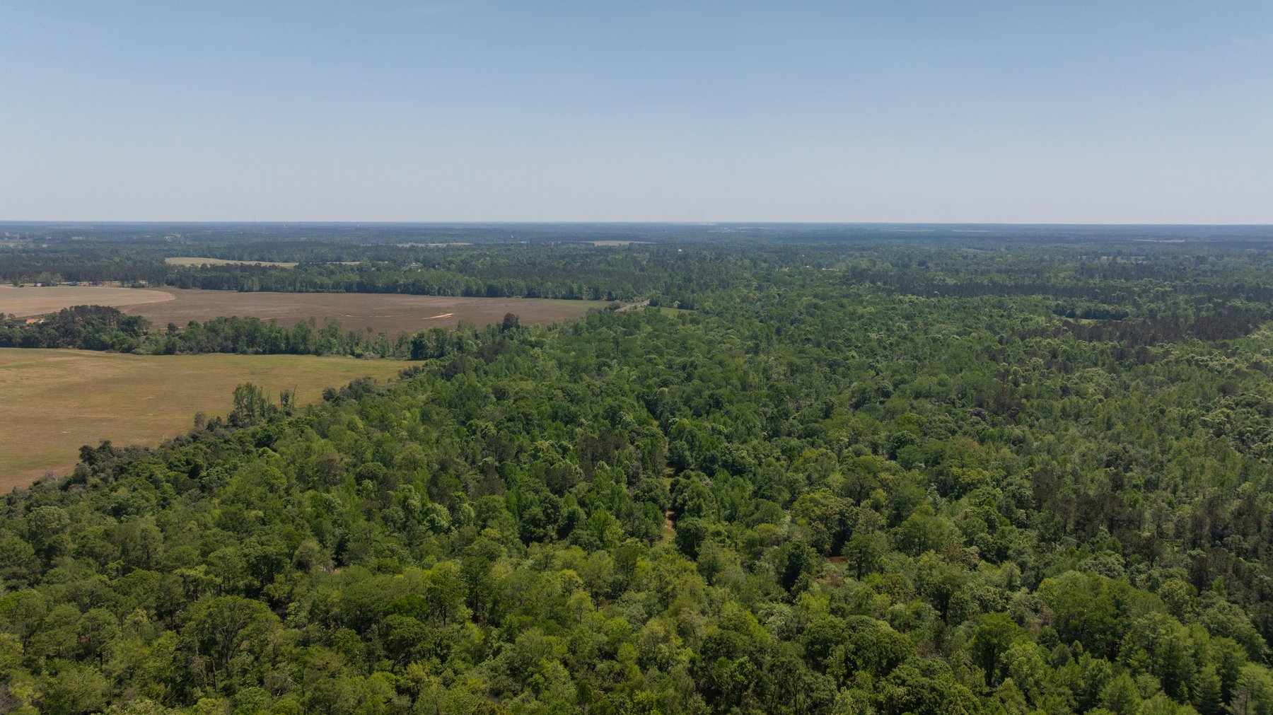 Image for 165+/- Acres - Exceptional Hunting Tract - Timber Investment Opportunity - Williamson Swamp Creek Frontage