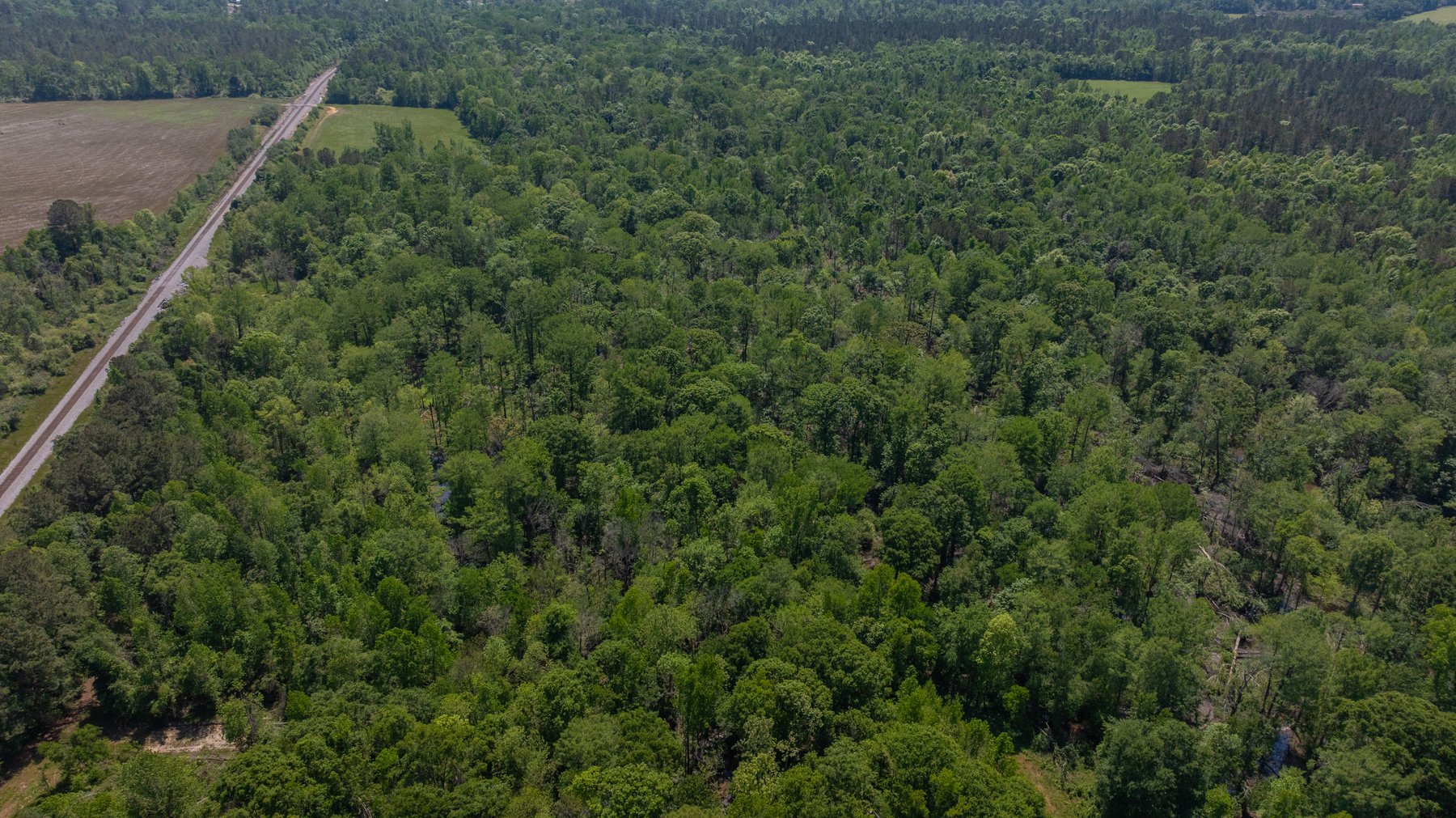 Image for 165+/- Acres - Exceptional Hunting Tract - Timber Investment Opportunity - Williamson Swamp Creek Frontage