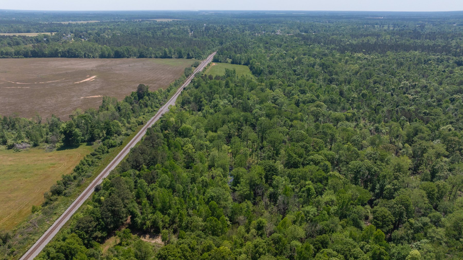 Image for 165+/- Acres - Exceptional Hunting Tract - Timber Investment Opportunity - Williamson Swamp Creek Frontage