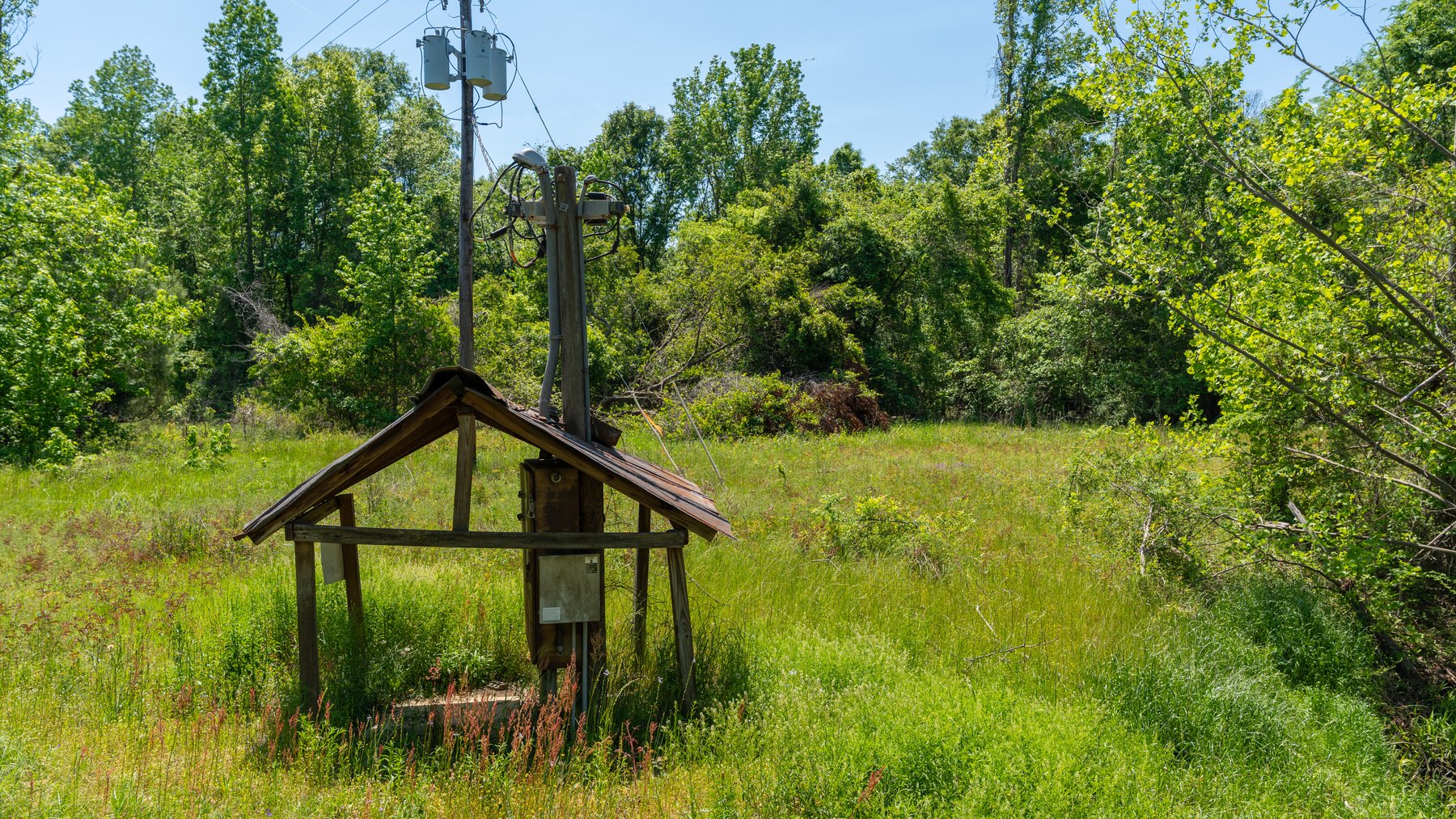 Image for 165+/- Acres - Exceptional Hunting Tract - Timber Investment Opportunity - Williamson Swamp Creek Frontage