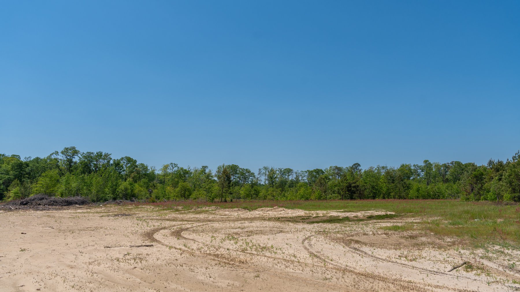 Image for 165+/- Acres - Exceptional Hunting Tract - Timber Investment Opportunity - Williamson Swamp Creek Frontage