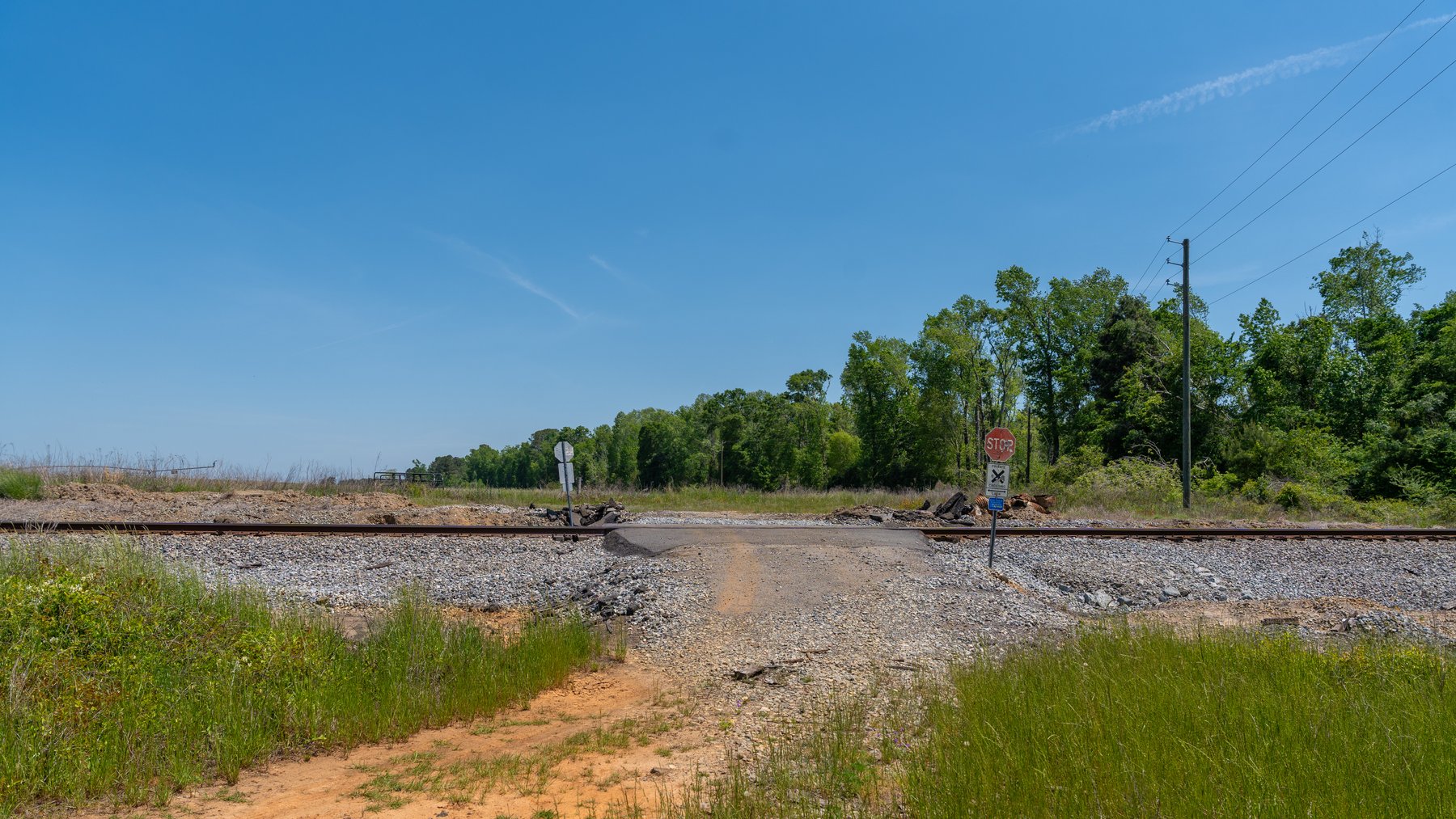 Image for 165+/- Acres - Exceptional Hunting Tract - Timber Investment Opportunity - Williamson Swamp Creek Frontage
