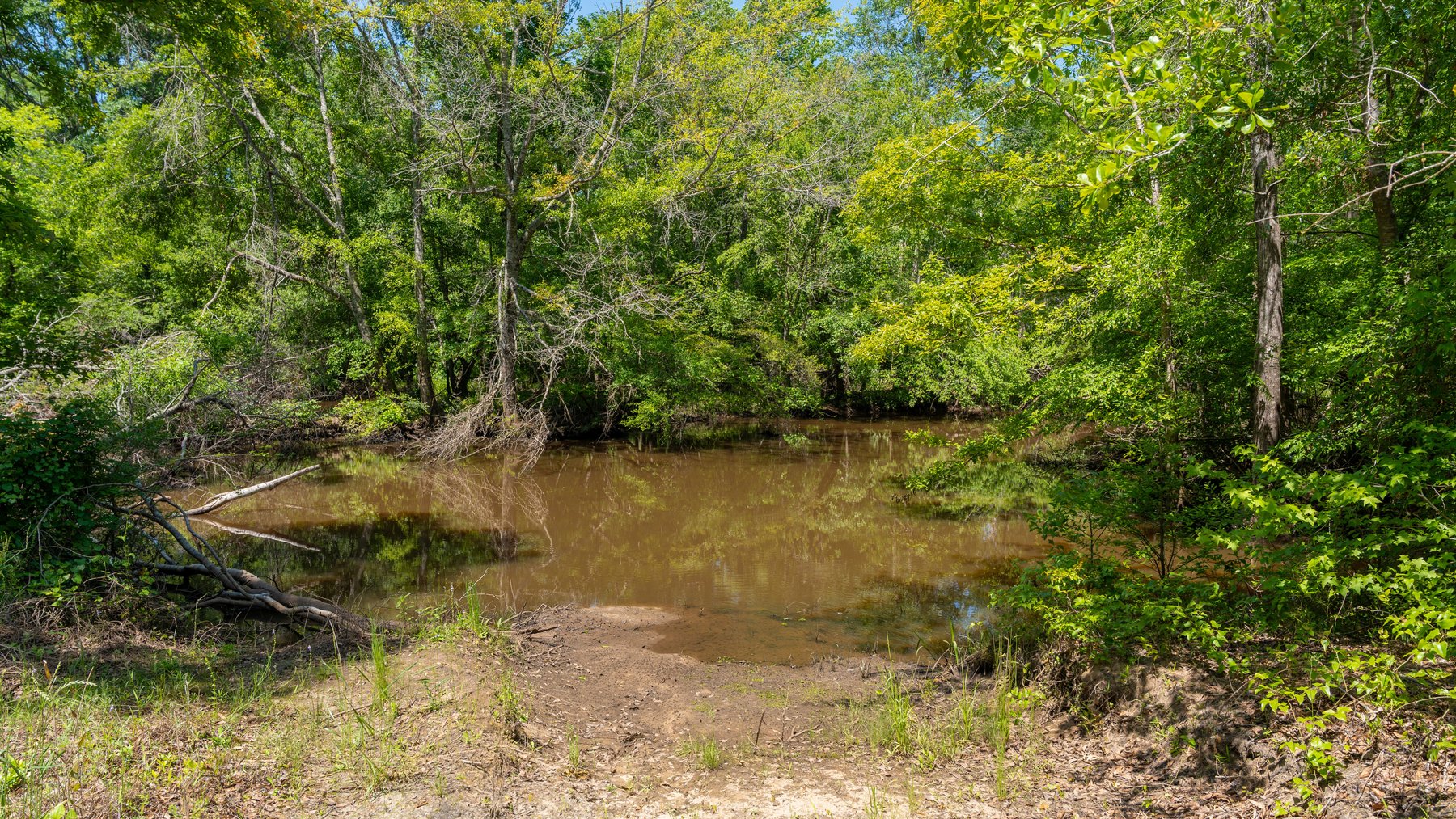 Image for 165+/- Acres - Exceptional Hunting Tract - Timber Investment Opportunity - Williamson Swamp Creek Frontage