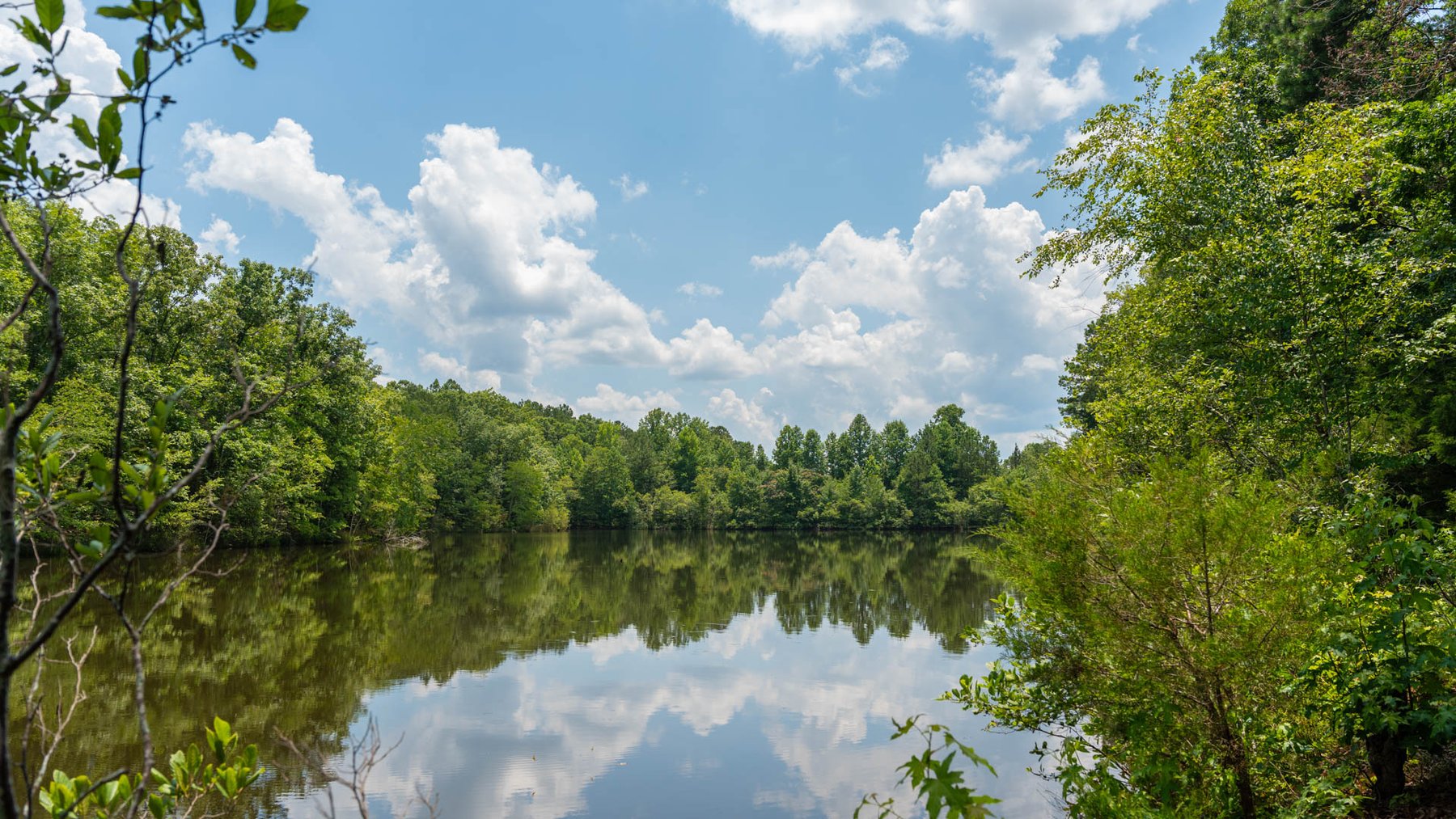Image for 300.93+/- Acres - Rock Quarry Ridge - Sportsman’s Paradise w/ Beautiful Lakes & Homesite Potential - Offered Divided & As a Whole