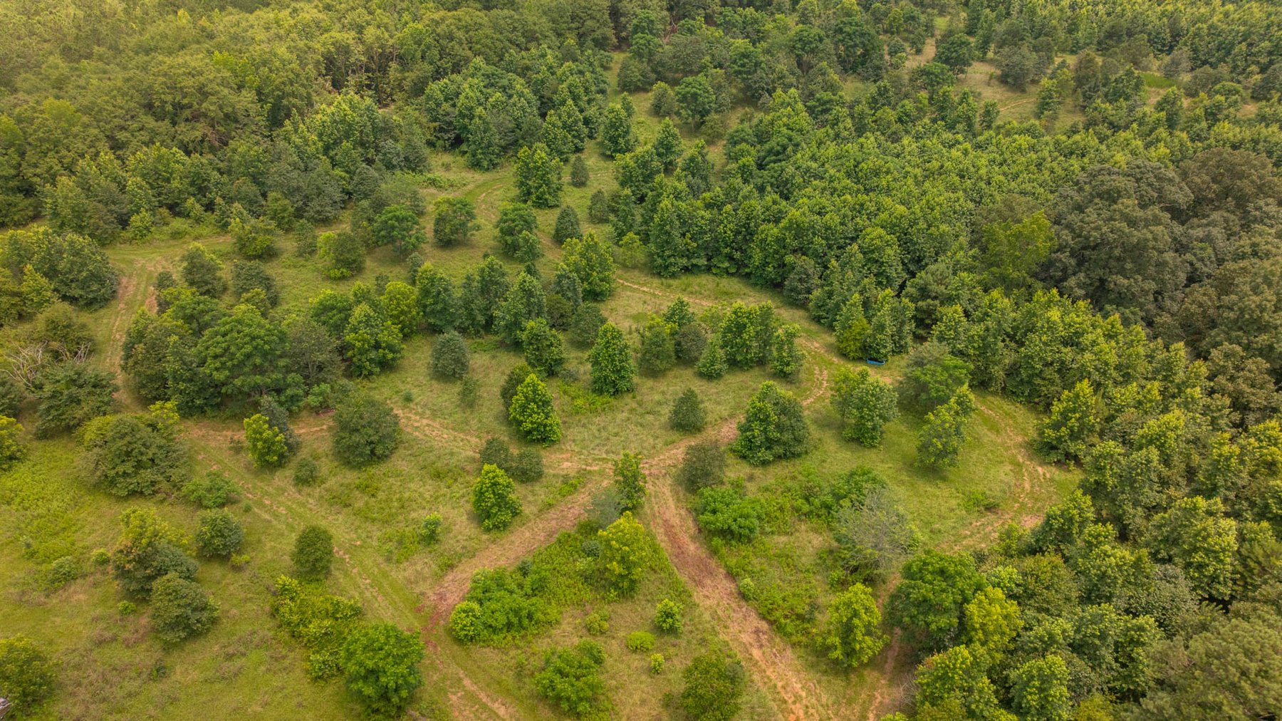 Image for 300.93+/- Acres - Rock Quarry Ridge - Sportsman’s Paradise w/ Beautiful Lakes & Homesite Potential - Offered Divided & As a Whole