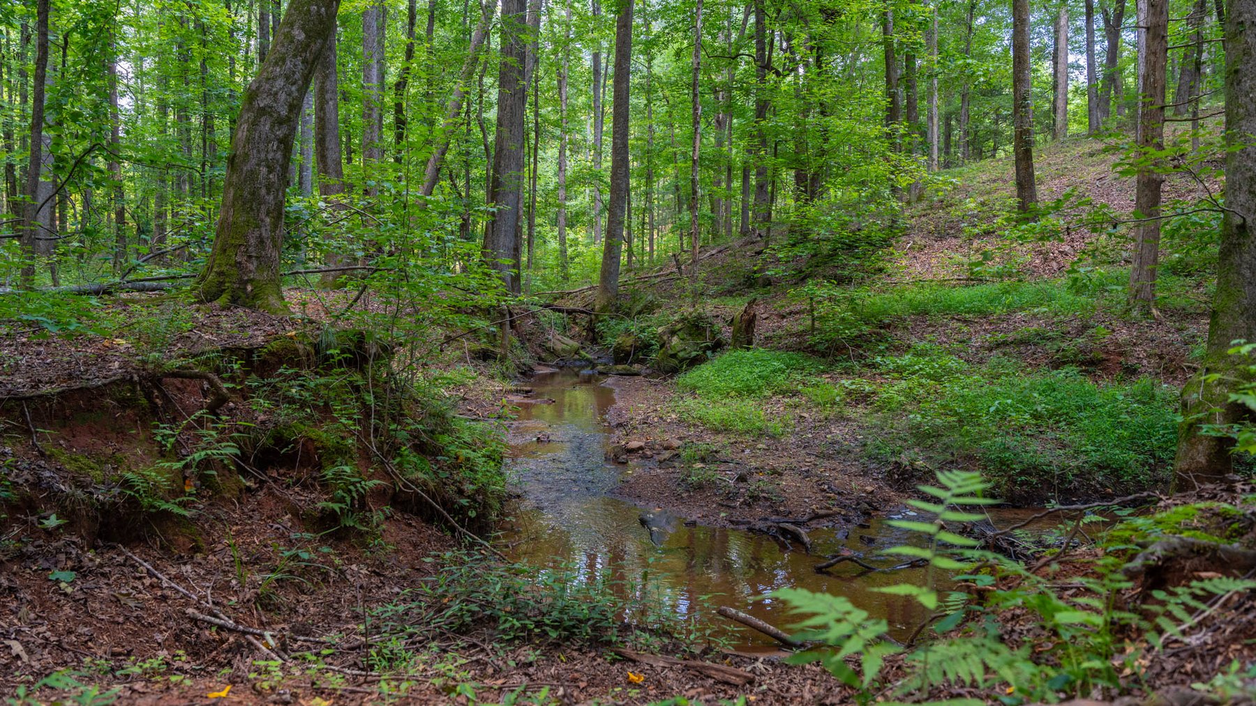Image for 300.93+/- Acres - Rock Quarry Ridge - Sportsman’s Paradise w/ Beautiful Lakes & Homesite Potential - Offered Divided & As a Whole