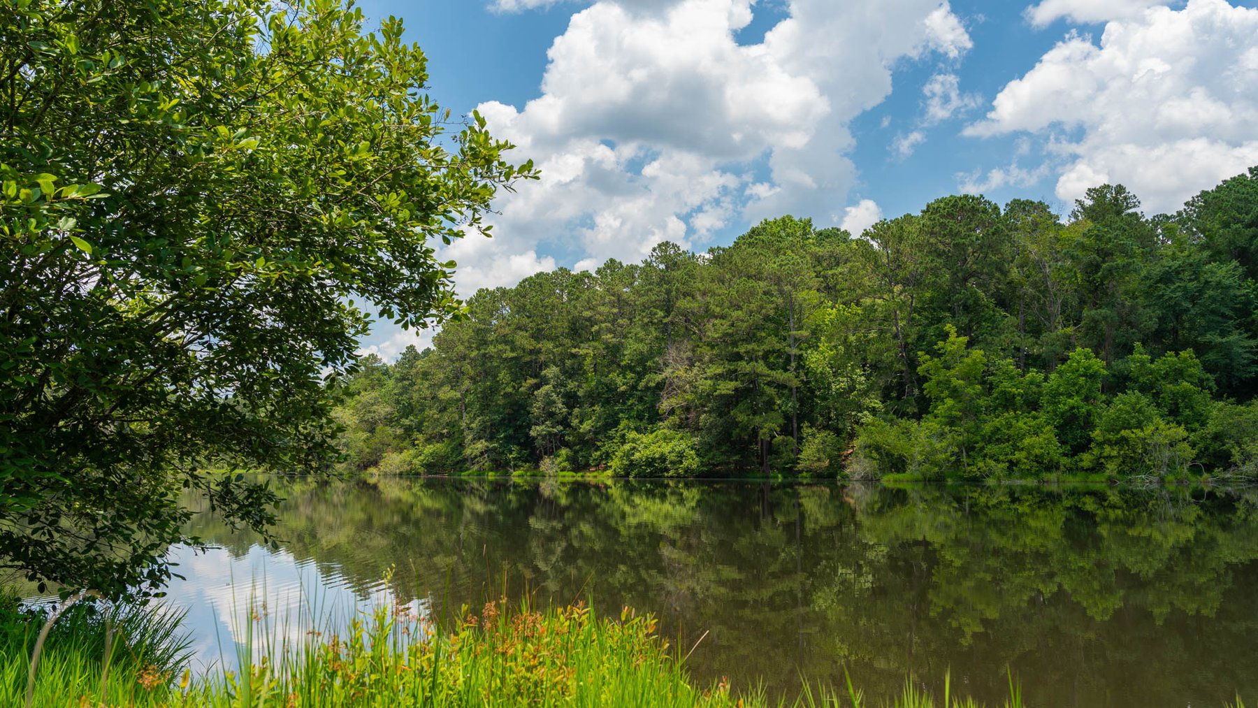 Image for 300.93+/- Acres - Rock Quarry Ridge - Sportsman’s Paradise w/ Beautiful Lakes & Homesite Potential - Offered Divided & As a Whole