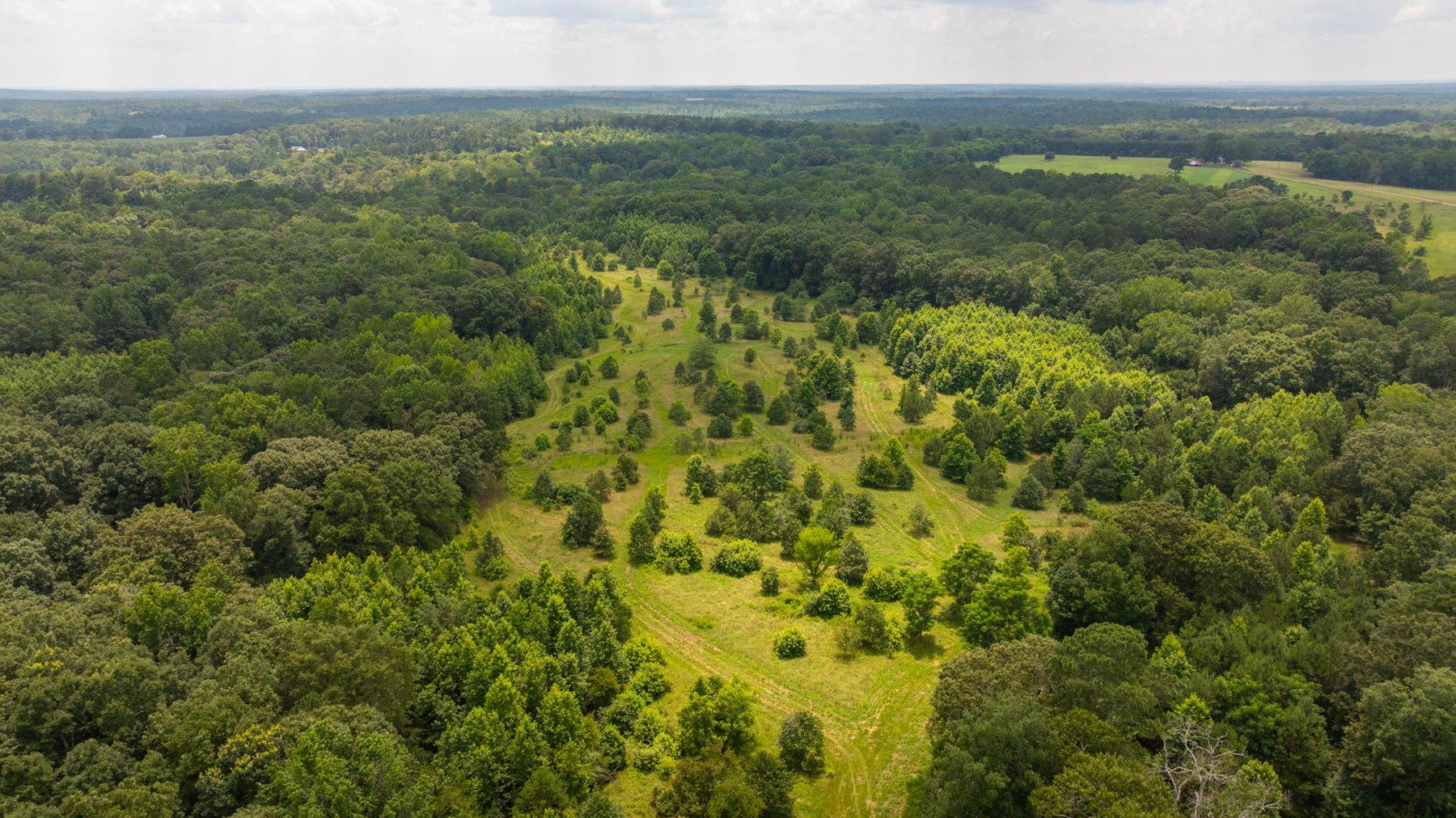 Image for 300.93+/- Acres - Rock Quarry Ridge - Sportsman’s Paradise w/ Beautiful Lakes & Homesite Potential - Offered Divided & As a Whole