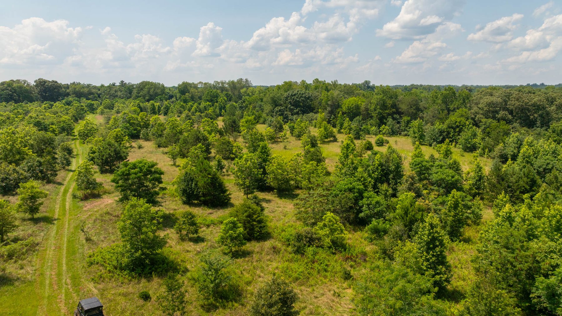 Image for 300.93+/- Acres - Rock Quarry Ridge - Sportsman’s Paradise w/ Beautiful Lakes & Homesite Potential - Offered Divided & As a Whole