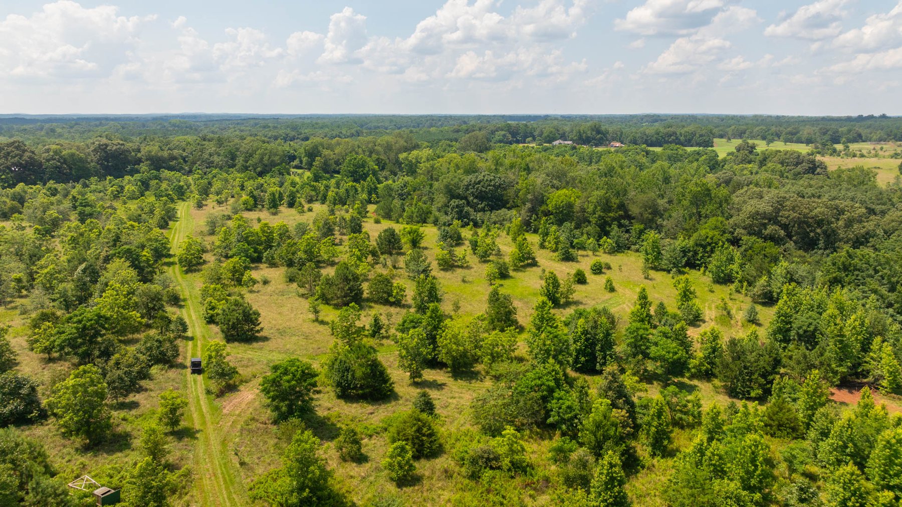 Image for 300.93+/- Acres - Rock Quarry Ridge - Sportsman’s Paradise w/ Beautiful Lakes & Homesite Potential - Offered Divided & As a Whole