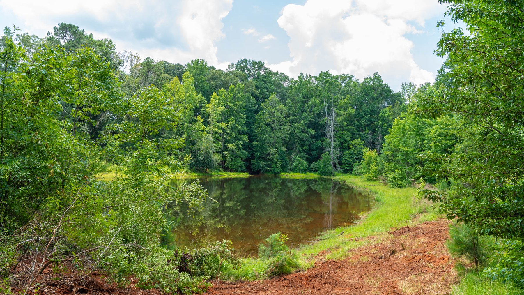 Image for 300.93+/- Acres - Rock Quarry Ridge - Sportsman’s Paradise w/ Beautiful Lakes & Homesite Potential - Offered Divided & As a Whole