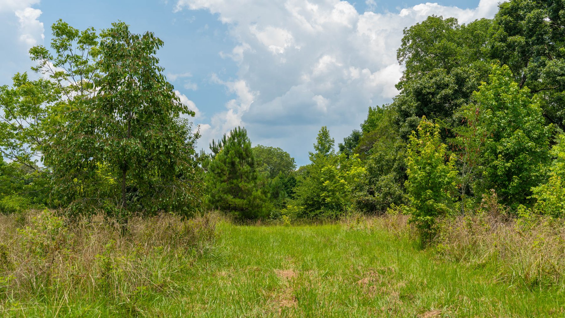 Image for 300.93+/- Acres - Rock Quarry Ridge - Sportsman’s Paradise w/ Beautiful Lakes & Homesite Potential - Offered Divided & As a Whole