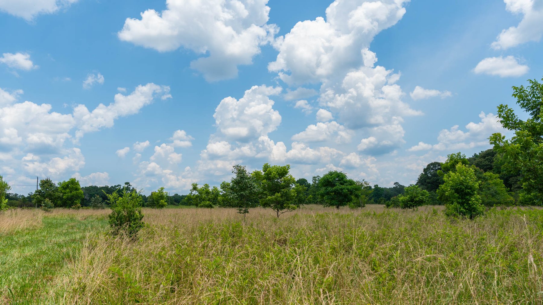 Image for 300.93+/- Acres - Rock Quarry Ridge - Sportsman’s Paradise w/ Beautiful Lakes & Homesite Potential - Offered Divided & As a Whole