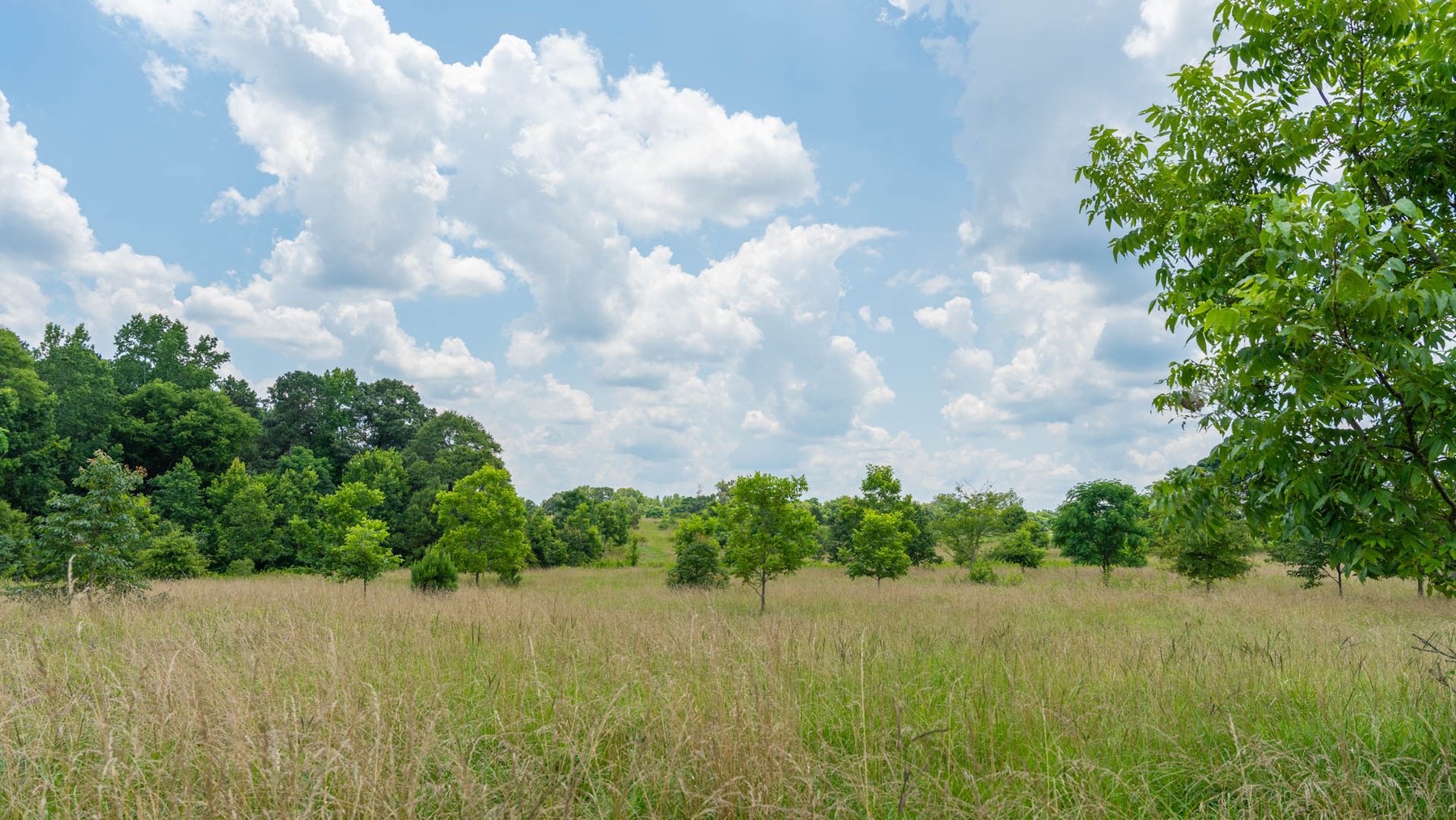 Image for 300.93+/- Acres - Rock Quarry Ridge - Sportsman’s Paradise w/ Beautiful Lakes & Homesite Potential - Offered Divided & As a Whole
