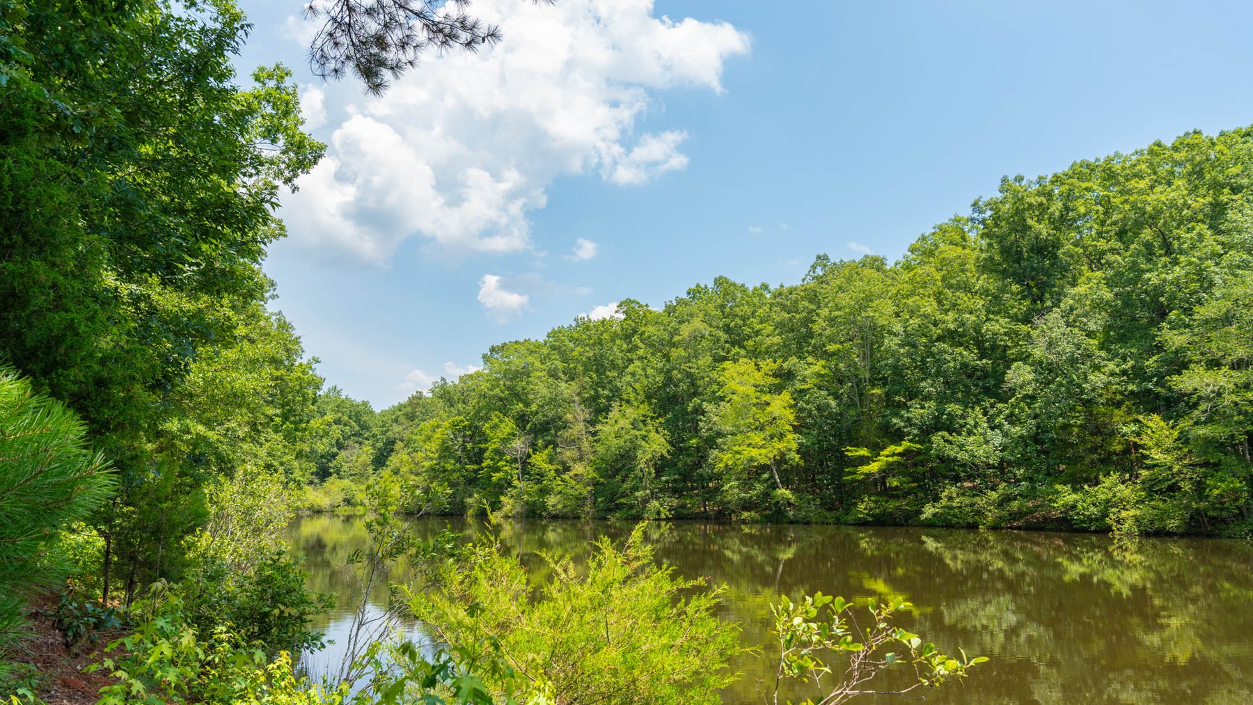 Image for 300.93+/- Acres - Rock Quarry Ridge - Sportsman’s Paradise w/ Beautiful Lakes & Homesite Potential - Offered Divided & As a Whole