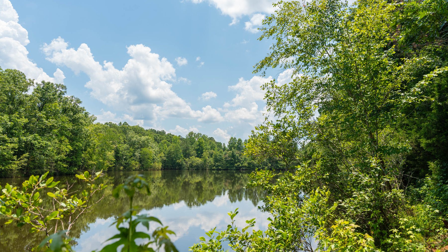 Image for 300.93+/- Acres - Rock Quarry Ridge - Sportsman’s Paradise w/ Beautiful Lakes & Homesite Potential - Offered Divided & As a Whole