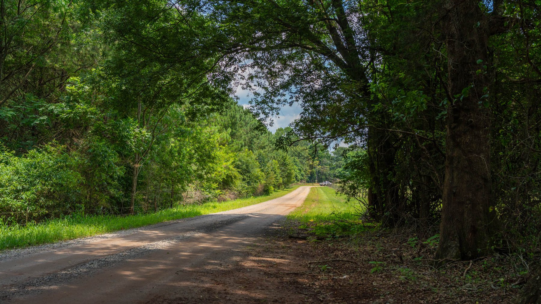 Image for 300.93+/- Acres - Rock Quarry Ridge - Sportsman’s Paradise w/ Beautiful Lakes & Homesite Potential - Offered Divided & As a Whole