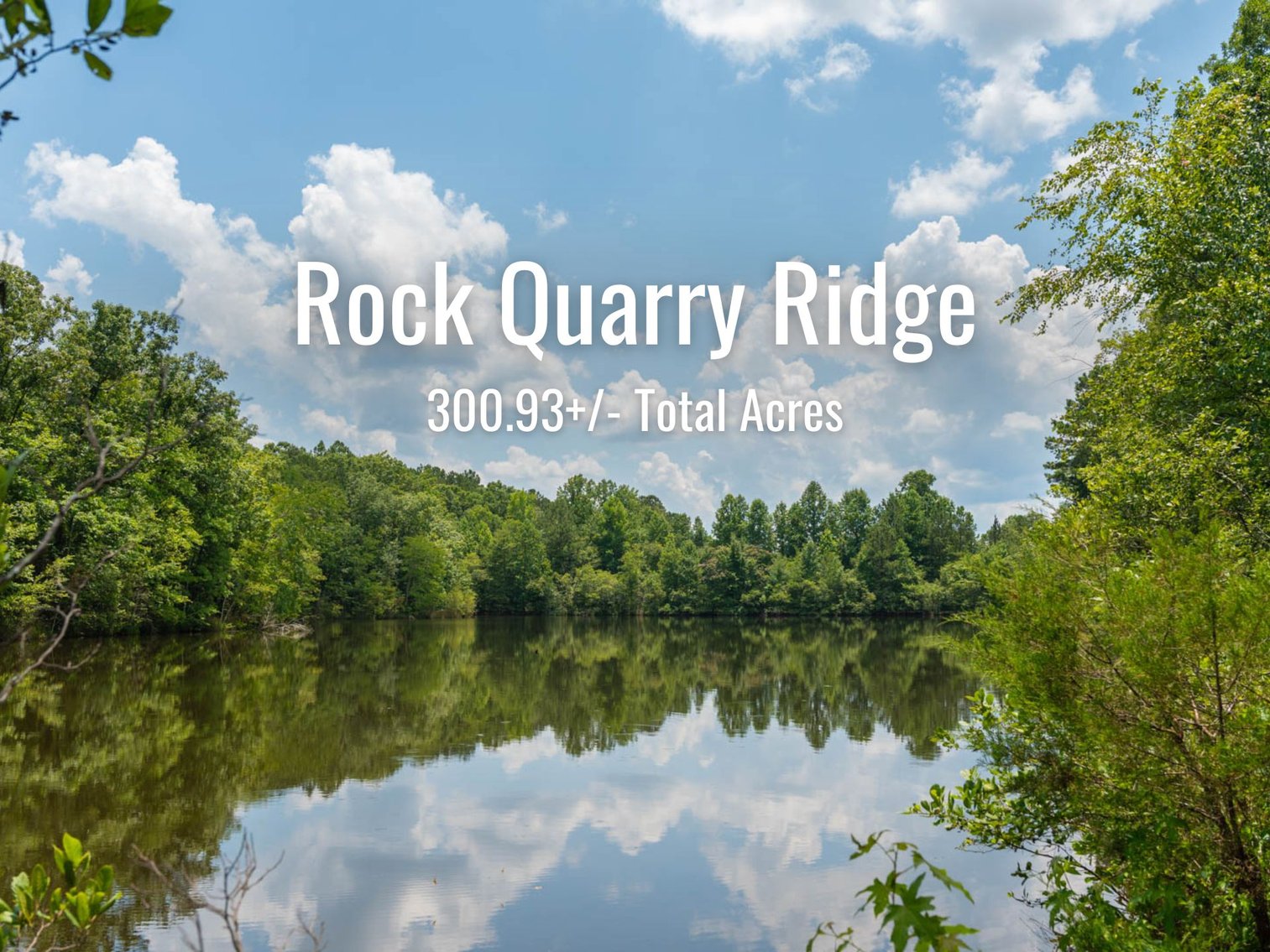 Image for 300.93+/- Acres - Rock Quarry Ridge - Sportsman’s Paradise w/ Beautiful Lakes & Homesite Potential - Offered Divided & As a Whole