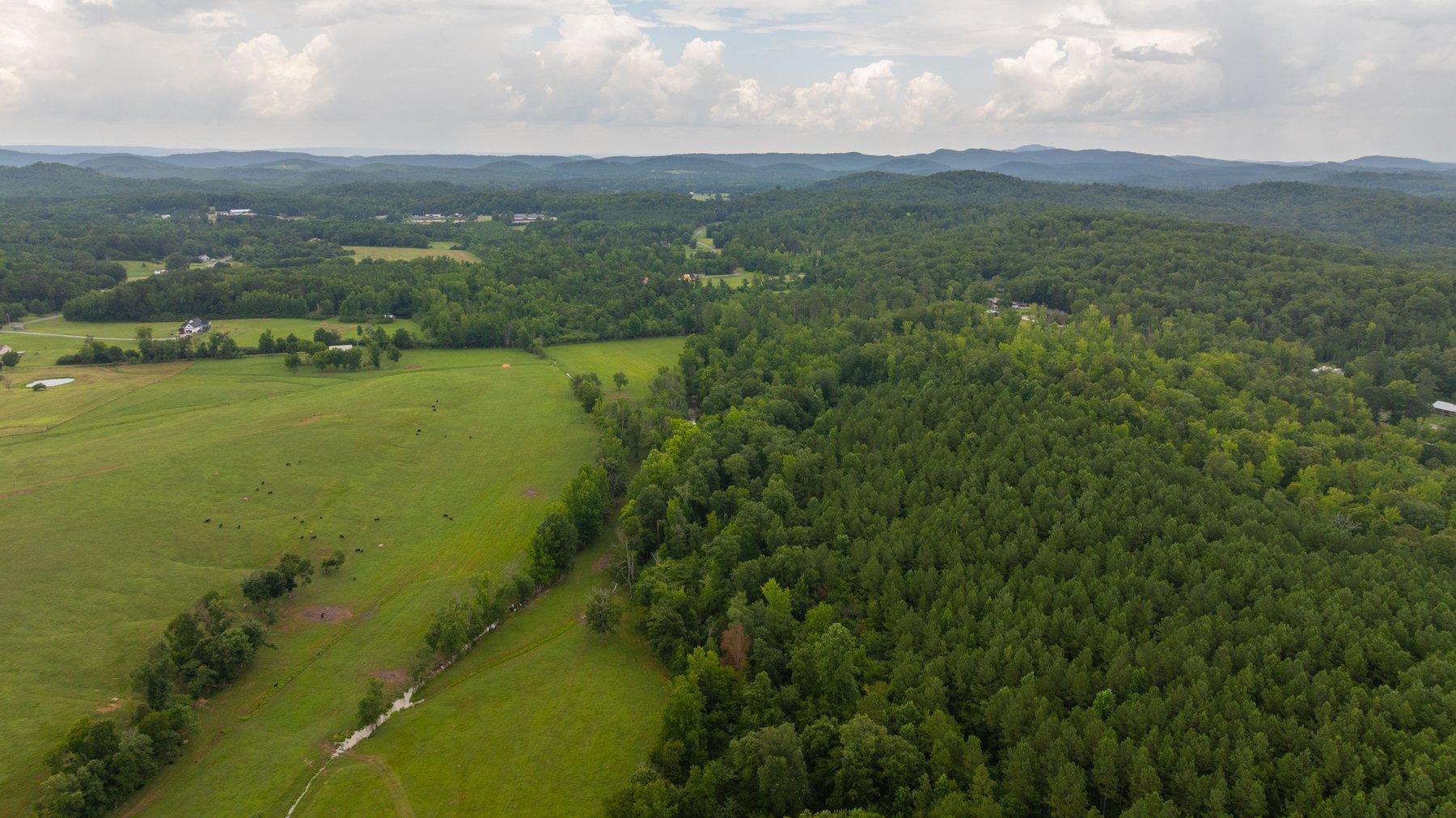 Image for Pleasant Valley Farms – 238+/- Total Acres - Residential Development Opportunity - Beautiful Brick Home & Improvements - Offered Divided & as a Whole