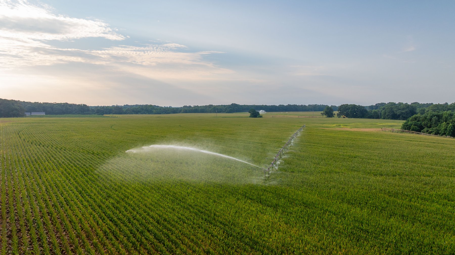 Image for The Wright Place - 190+/- Total Acres - Row Crop & Timber Farm W/ (2) Scenic Ponds