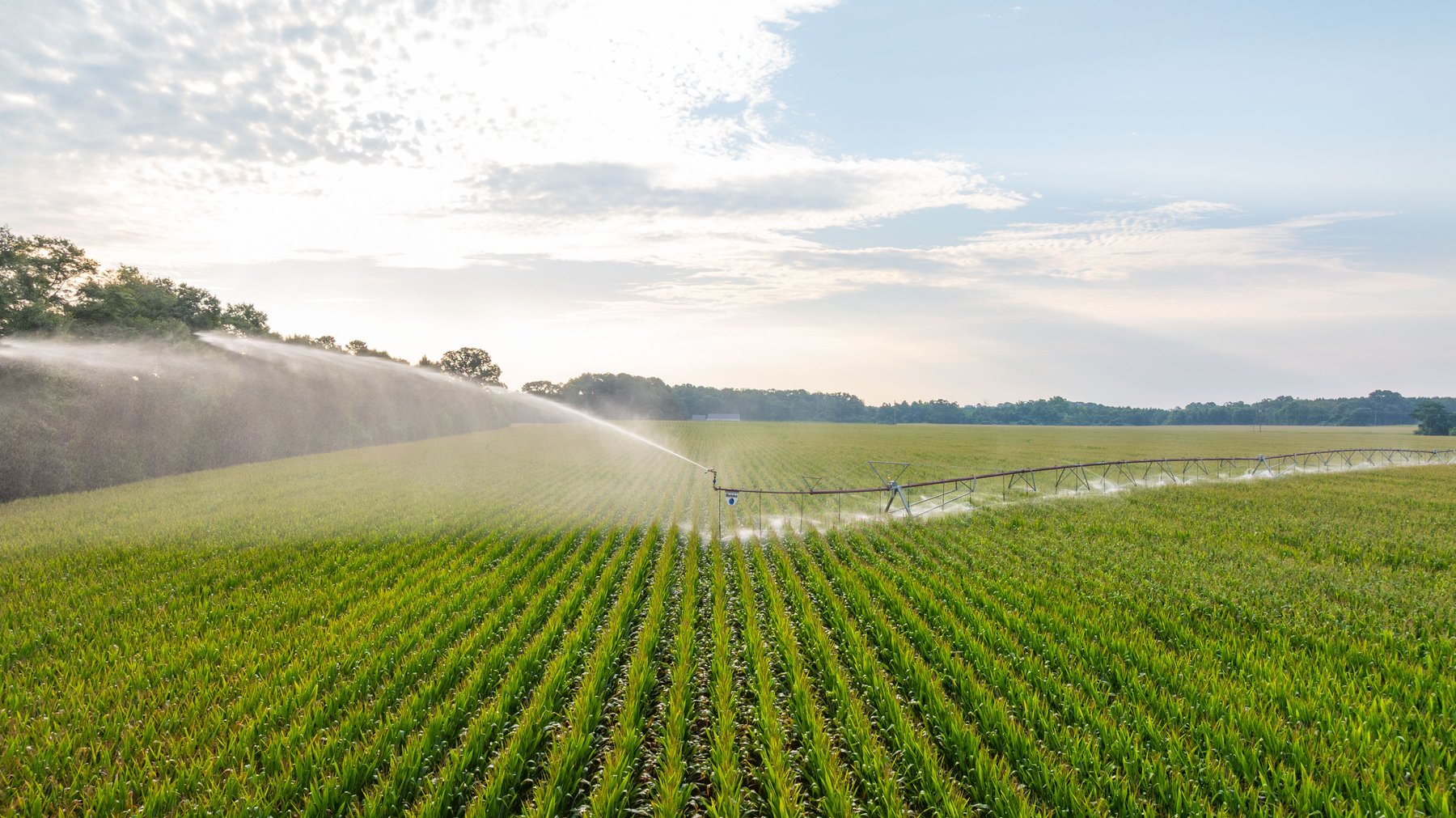 Image for The Wright Place - 190+/- Total Acres - Row Crop & Timber Farm W/ (2) Scenic Ponds