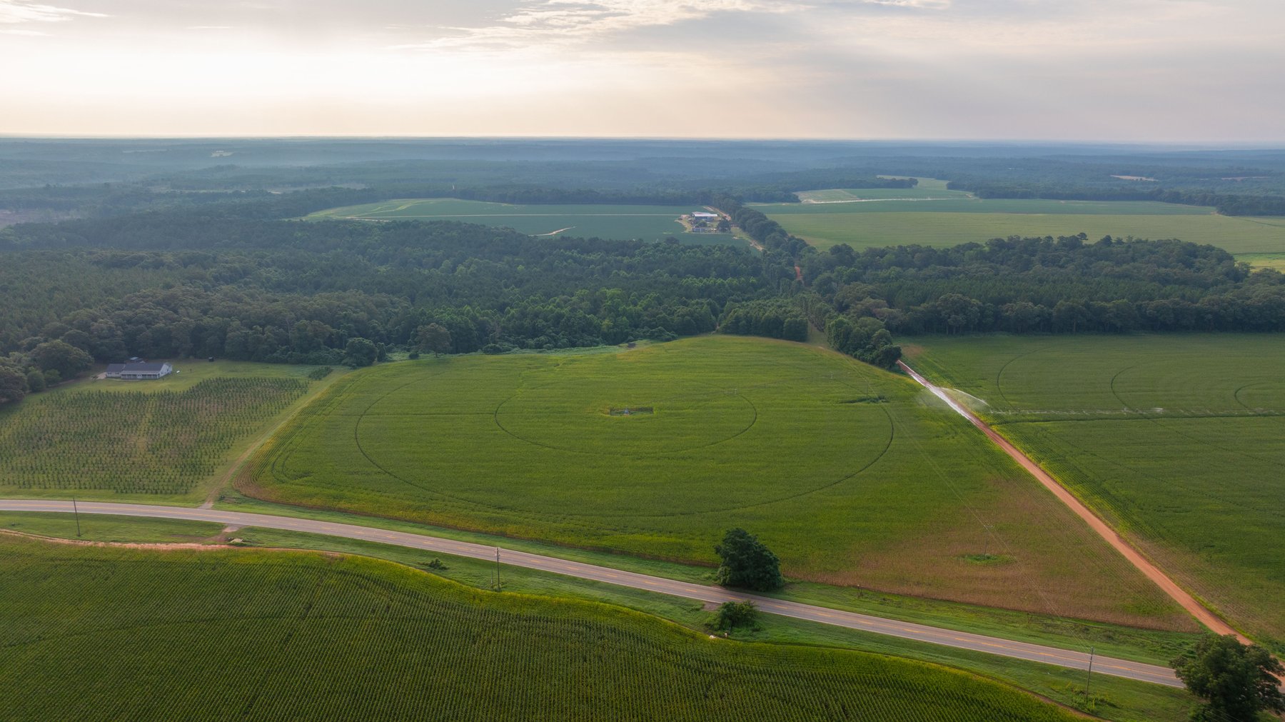 Image for The Wright Place - 190+/- Total Acres - Row Crop & Timber Farm W/ (2) Scenic Ponds