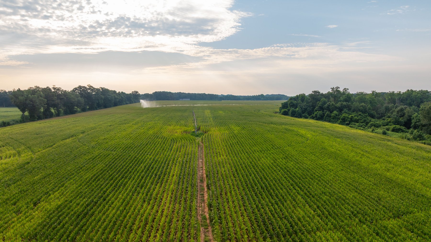 Image for The Wright Place - 190+/- Total Acres - Row Crop & Timber Farm W/ (2) Scenic Ponds