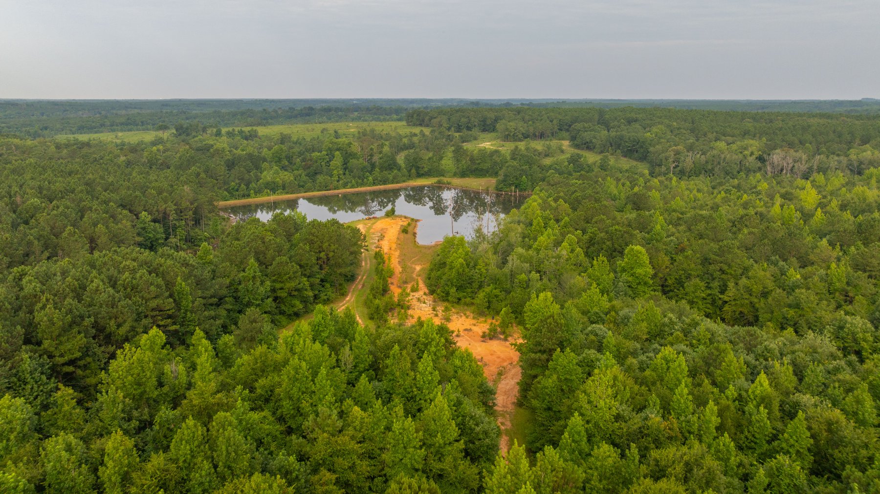 Image for The Wright Place - 190+/- Total Acres - Row Crop & Timber Farm W/ (2) Scenic Ponds