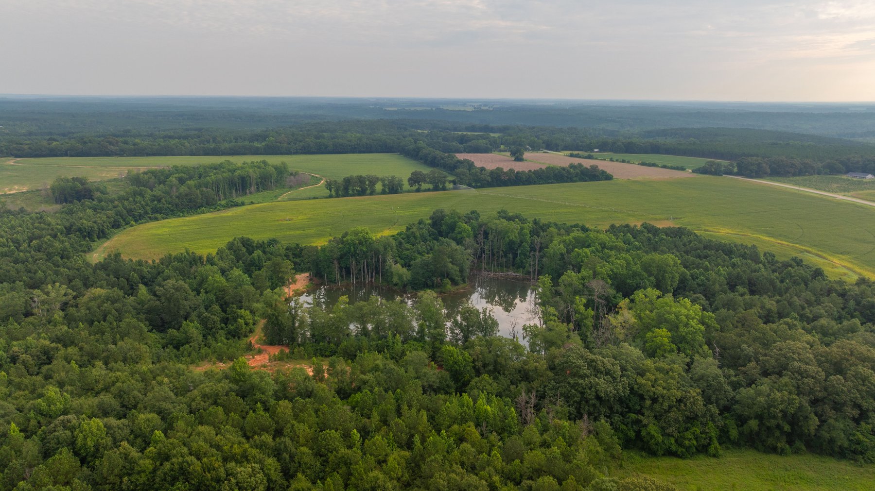 Image for The Wright Place - 190+/- Total Acres - Row Crop & Timber Farm W/ (2) Scenic Ponds