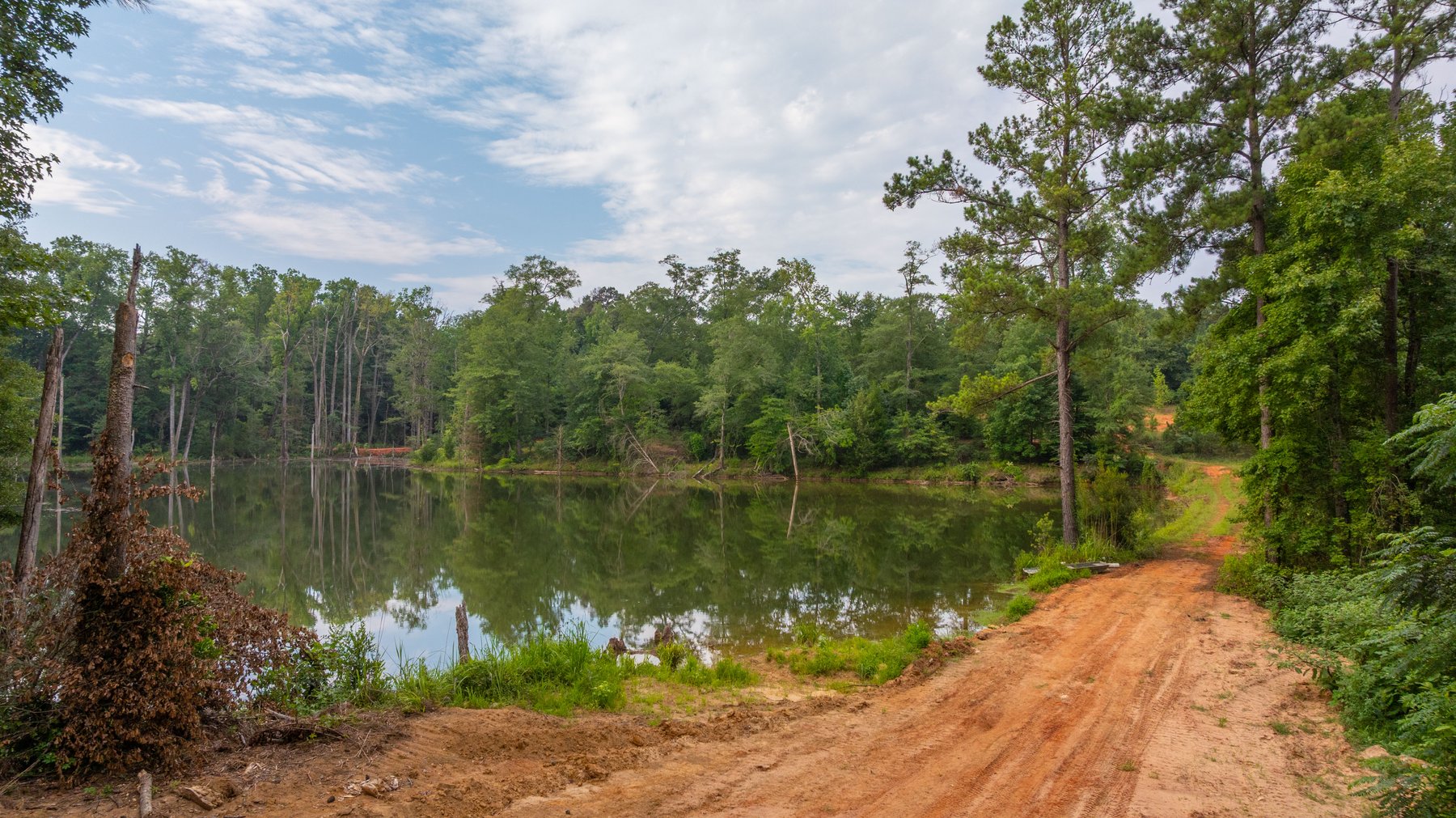 Image for The Wright Place - 190+/- Total Acres - Row Crop & Timber Farm W/ (2) Scenic Ponds