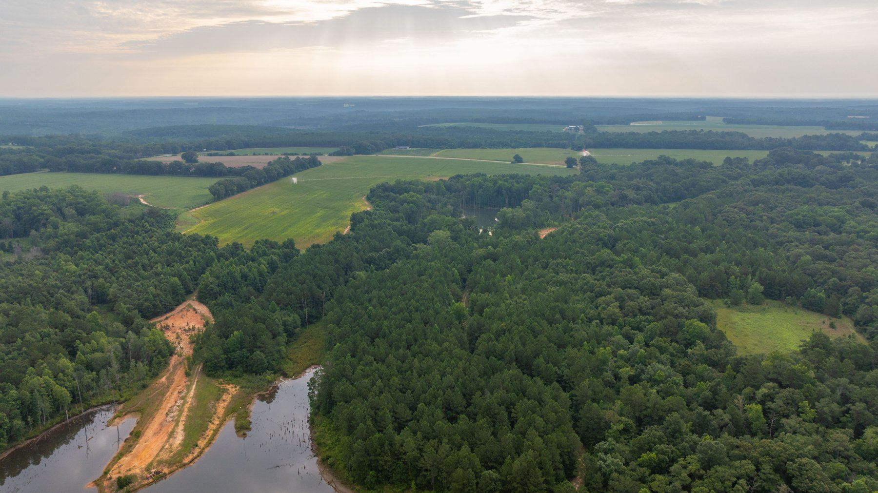 Image for The Wright Place - 190+/- Total Acres - Row Crop & Timber Farm W/ (2) Scenic Ponds