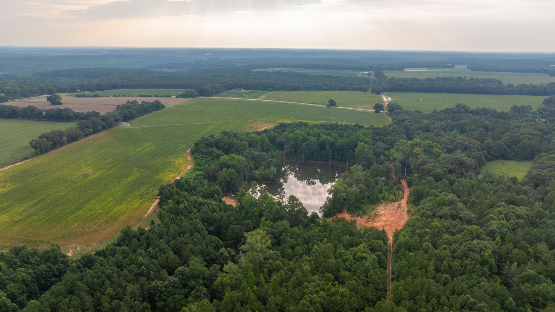 Image for The Wright Place - 190+/- Total Acres - Row Crop & Timber Farm W/ (2) Scenic Ponds