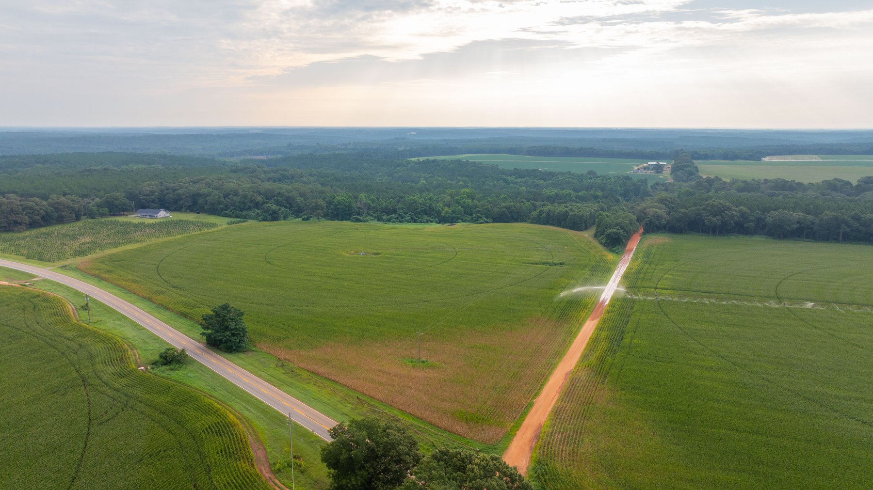 Image for The Wright Place - 190+/- Total Acres - Row Crop & Timber Farm W/ (2) Scenic Ponds